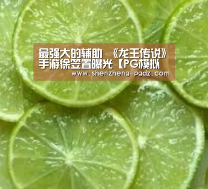 最强大的辅助 《龙王传说》手游徐笠置曝光【PG模拟器】(图2) PG模拟器